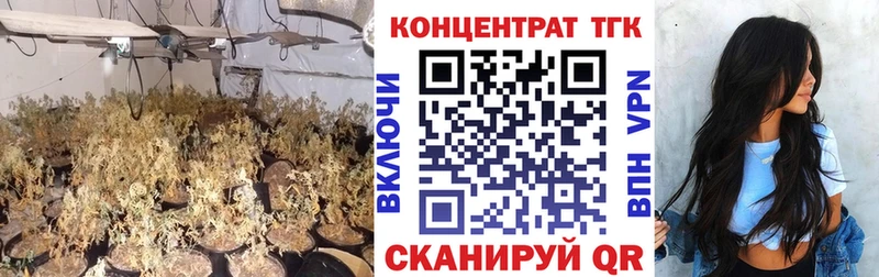 ТГК концентрат  ОМГ ОМГ   Грязи 