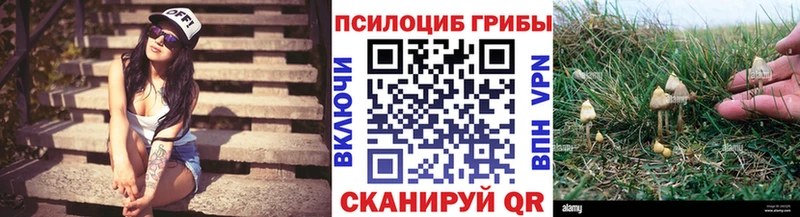 Галлюциногенные грибы Psilocybine cubensis  Грязи 
